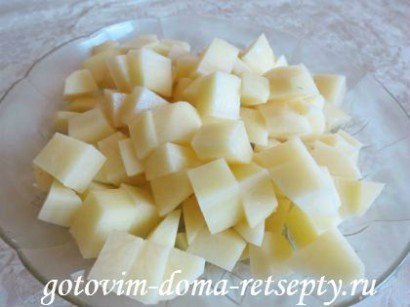 солянка мясная сборная классическая 8
