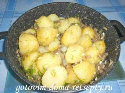 молодая картошка с грибами шампиньонами и чесноком 7